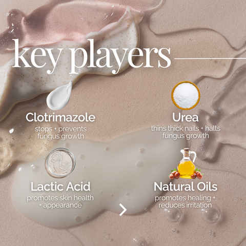 Dry Skin and Callus Treatment Kit